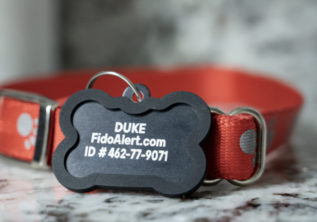 FREE Custom Pet ID Tags with FREE Shipping
